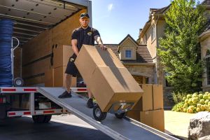 Movers & Storage