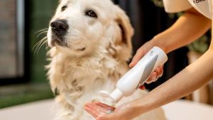 Animal Care & Products