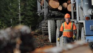 Forestry & Logging