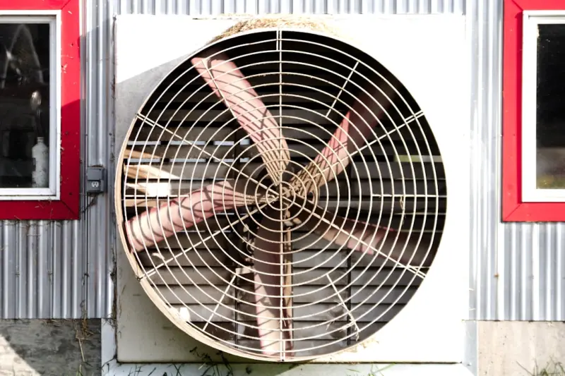 Turn Fan Content into Paid Social Gold