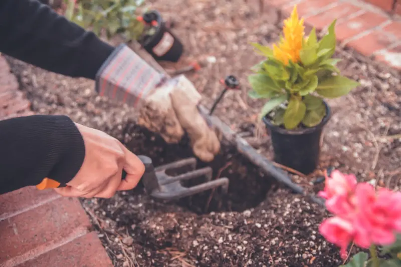 Cultivating a Living Content Garden for Evergreen Growth