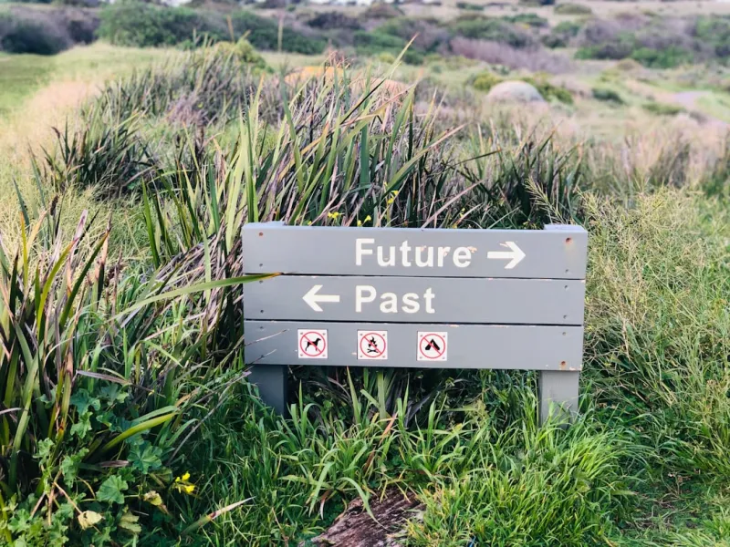 The Evolution of Content Trends: Navigating the Future of Digital Marketing