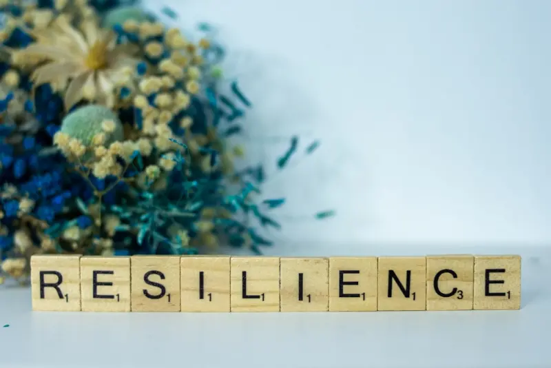 Building a Content Resilience Framework for B2B Growth