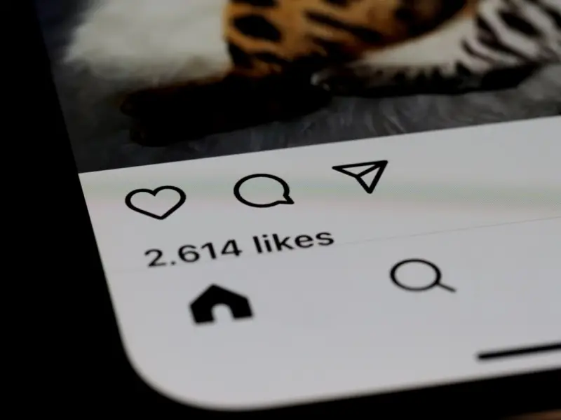 From Followers to Tribe: Redefining Social Media Strategy for the Attention Economy