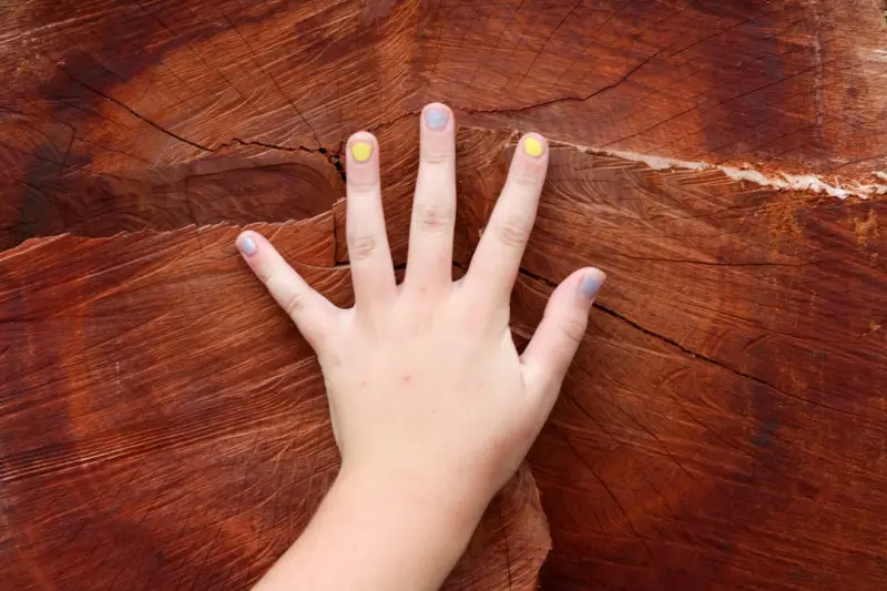 The Subtle Revival of Tactile Play: Hand‑Made Toys Take Center Stage