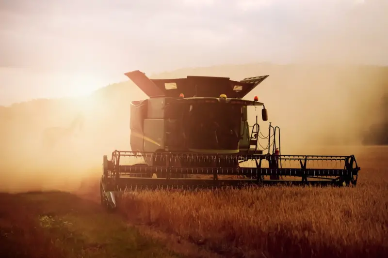 Harvesting Customer Voices: Turning Reviews into SEO Power