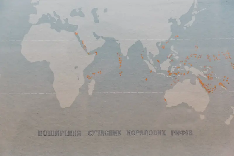 Beyond Borders: A Practical Guide to International SEO for SaaS Companies