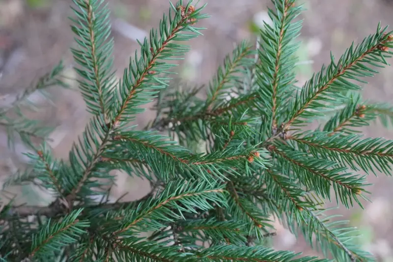 Turning One‑Off Posts into Evergreen Authority Hubs