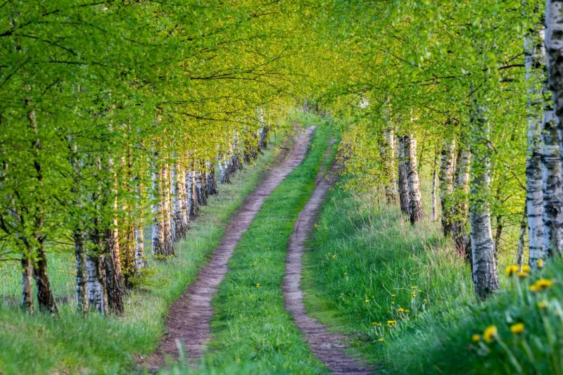 Co‑Creating Data Assets: A Fresh Path to Sustainable Backlink Growth