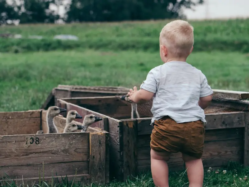 Eco‑Play: Building a Greener Toy Box for Tomorrow’s Kids