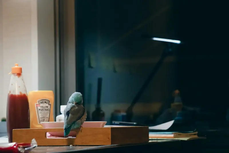 Why Open‑Ended Toys Are the Secret Sauce for Tomorrow's Creators