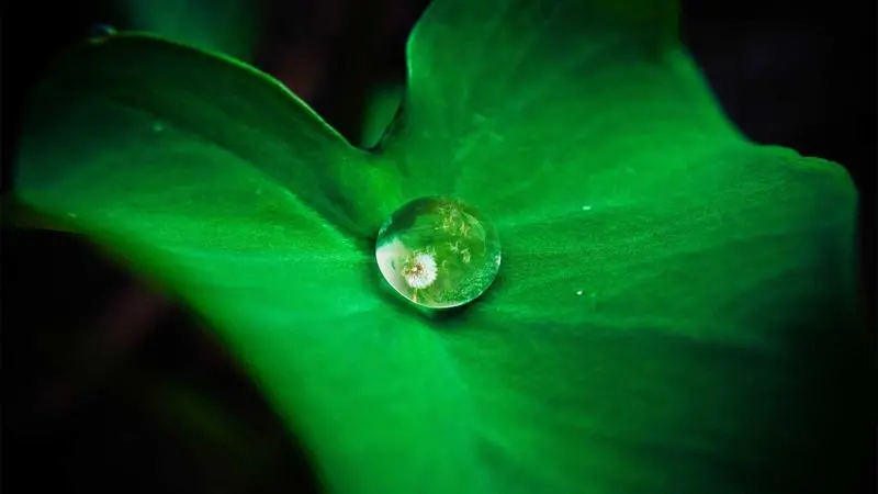 Semantic SEO: Harnessing HTML5 and Structured Data for Ranking Dominance